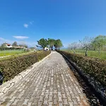 Alexandra 13 アパート レフキンミ